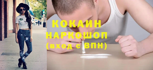 шишки Вязники