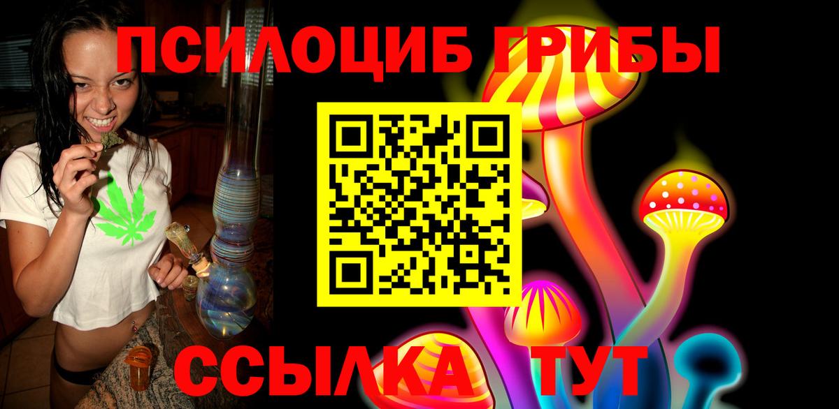 Псилоцибиновые грибы Cubensis  Вход с VPN  где продают   Ноябрьск 